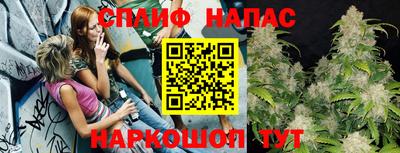 PSILOCYBIN Кулебаки