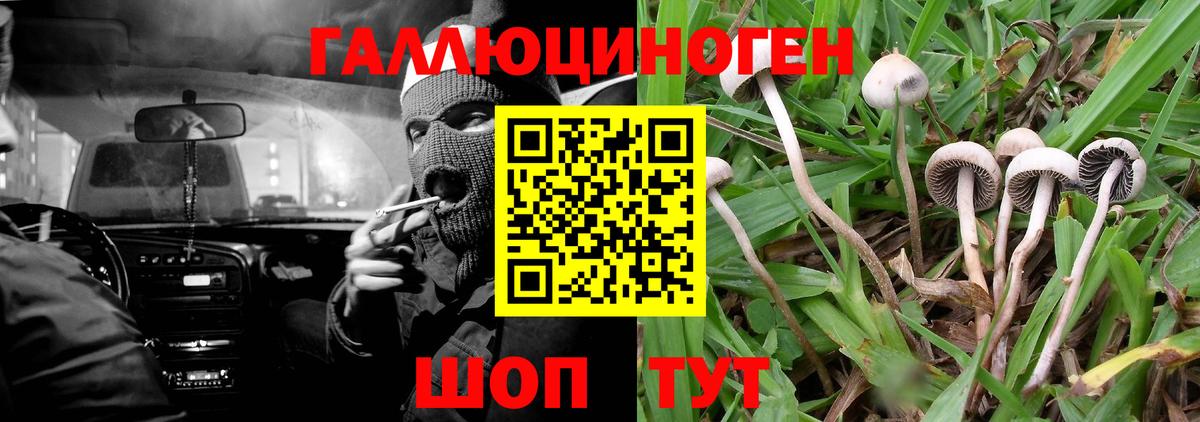 Долгопрудный  Галлюциногенные грибы Magic Shrooms  Вход с VPN 